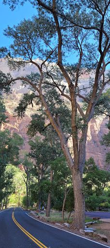 The Grotto Picnic Area-华盛顿县