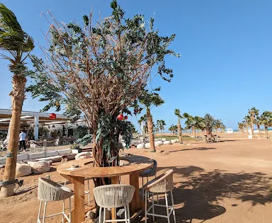 Mangroovy Beach