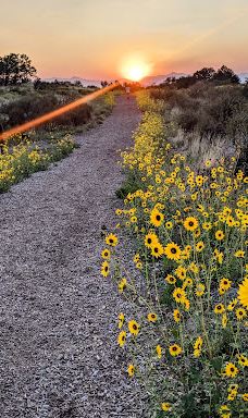 Dimple Dell Regional Park-山迪