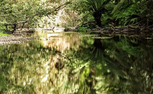 Paradise Picnic Reserve