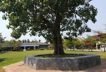 Wat Tha Hua Waen景点图片