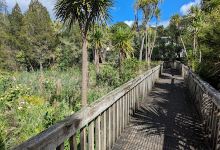 Lyford Reserve景点图片