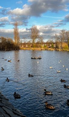 Albert Park-米德尔斯堡