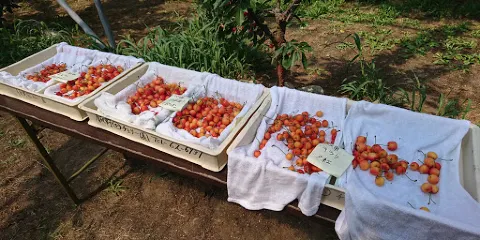 Tsukiyono Maruka Cherry Farm