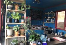 Pauanui GardenArt购物图片