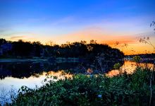 Wheeler Park景点图片