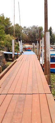 Muelle San Pedrito-帕茨夸罗