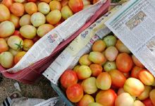 New bajrang vegetables rajpur购物图片