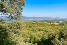 Sendero Los Hualos景点图片