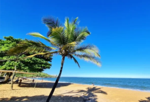 Praia Do Pau Grande景点图片