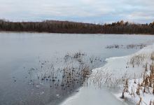 Winchester Family Nature Preserve景点图片