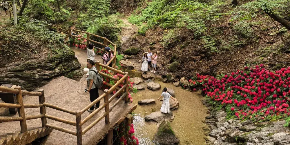 永安旅遊