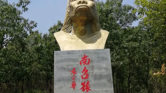南召猿人遺址