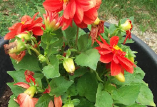 Domeniile Tucaliuc景点图片