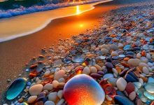Eli Wolor Beach景点图片
