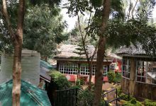 Mbembe Gardens.景点图片