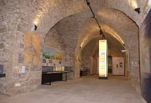 Musée De Géologie景点图片