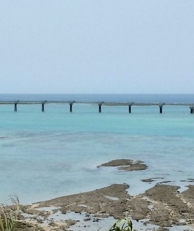 6日5晚 • 日本沖繩市「琉球文化體驗・美麗海水族館・全程四鑽酒店・中文導遊」