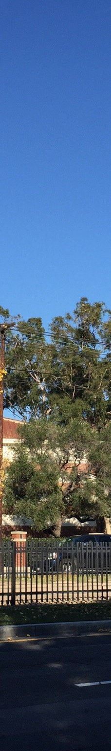 南加州大学-洛杉矶