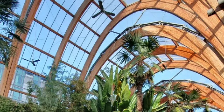 謝菲爾德冬季花園