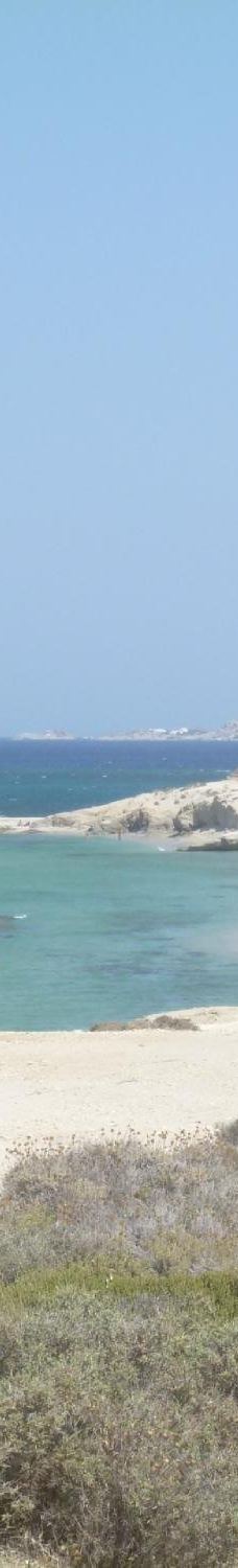 Cedar Forest of Alyko-纳克索斯