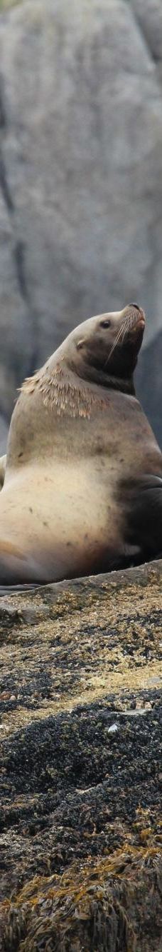 Kenai Fjords Tours-西沃德