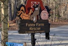 Funny Farm Rescue & Sanctuary景点图片