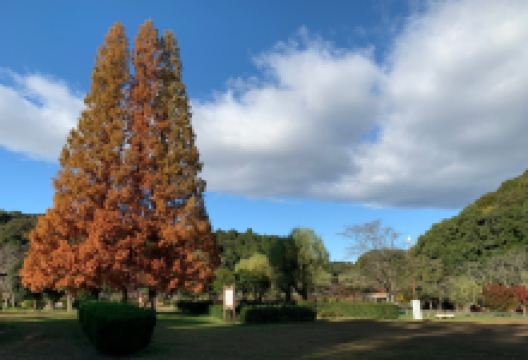 正伝池景点图片