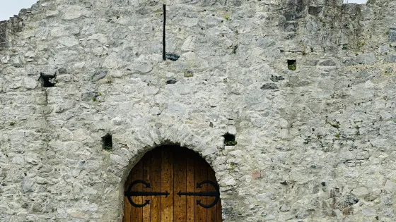 Desmond Castle