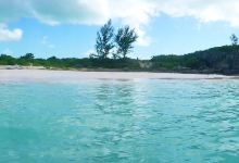 Bahamas Ocean Safaris景点图片