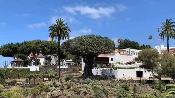 Parque Del Drago