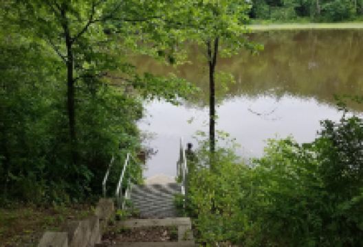 Cathance River Preserve景点图片