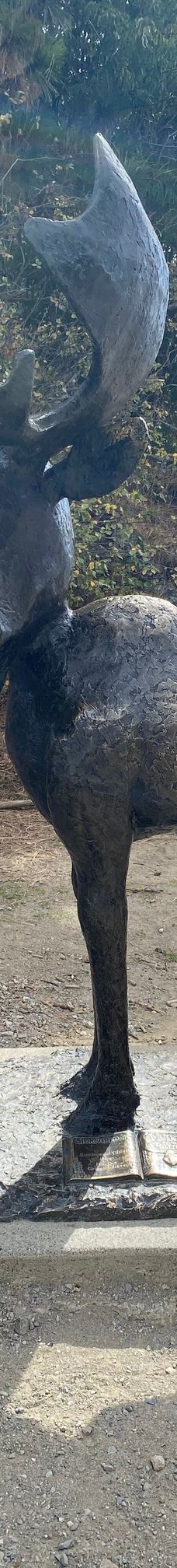 McEuen Park-科达伦