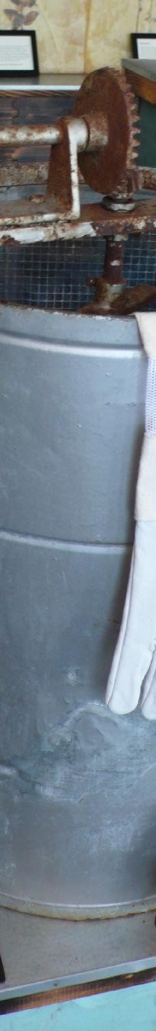 Big Island Bees-Honaunau-Napoopoo