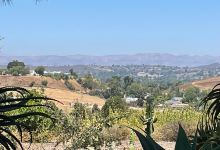 Conejo Valley Botanic Garden景点图片