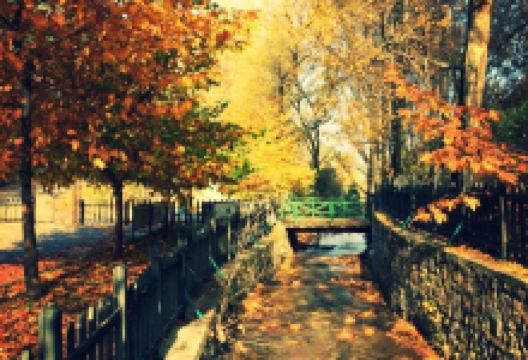 Tekke Kent Ormani景点图片