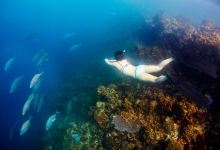 Freedive Academy Panglao购物图片