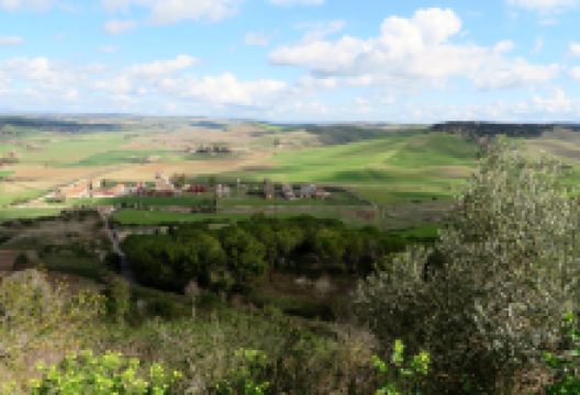 Porta Tarquinia景点图片