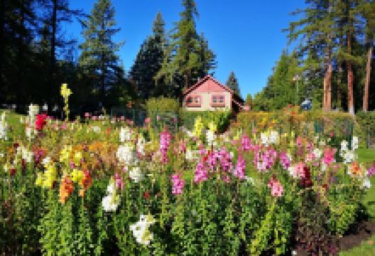 Cominco Gardens景点图片