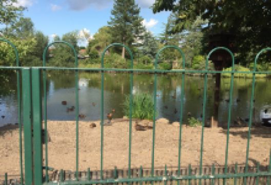 Fishpond Lane Nature Reserve景点图片