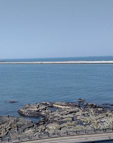 八户市水产科学馆Marient-八户