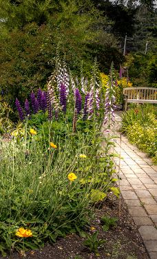 Lincoln City KOA Holiday-林肯县