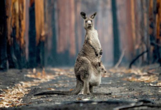 kariba, Nyamhunga 2 Park景点图片
