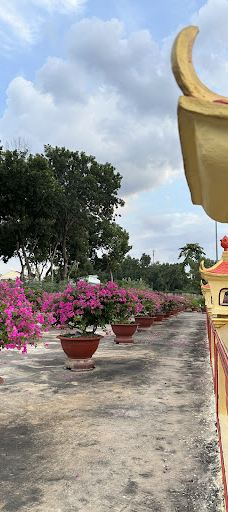 Dai Tong Lam Pagoda-富美市社