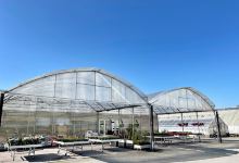 Aardal horticulture购物图片
