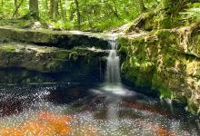 Devil's Kettle Trailhead景点图片