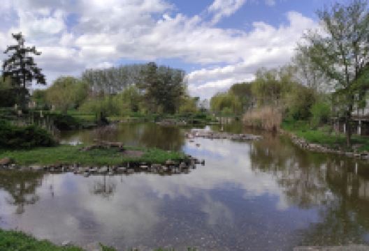 Miki Zoo景点图片