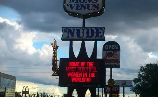 Mons Venus