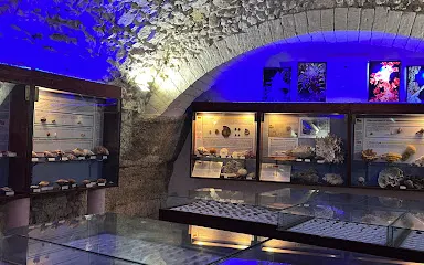 Museo Malacologico