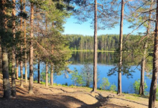 Ulitsa Kommunarov景点图片